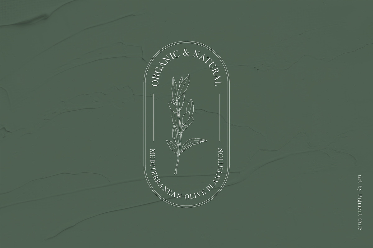 Olive Branches & Botanical Patterns, a Decorative Illustration by Pigment Café (Photo 8 of 10)