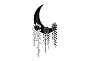 Hanging Moon with Plants Bundle, an Illustration by Designs_River (Thumbnail 13 of 31)