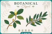 Boho Botanical Leaves Clipart Bundle, a Nature Photo by Actual Pixel (Thumbnail 21 of 21)