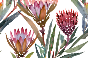 Watercolor Fynbos Flowers