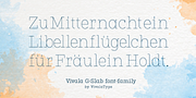 Vivala G-Slab, a Slab Serif Font by Johannes Hoffmann (Thumbnail 3 of 8)