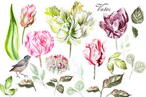 Hand Drawn Watercolor Flowers 43PNG