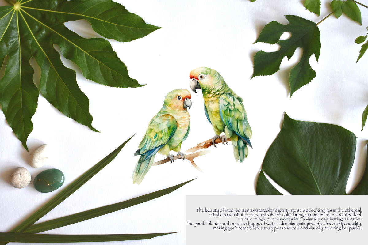 watercolor jungle wildlife clipart, an Animal Illustration by Pink Studio Art (Photo 4 of 4)
