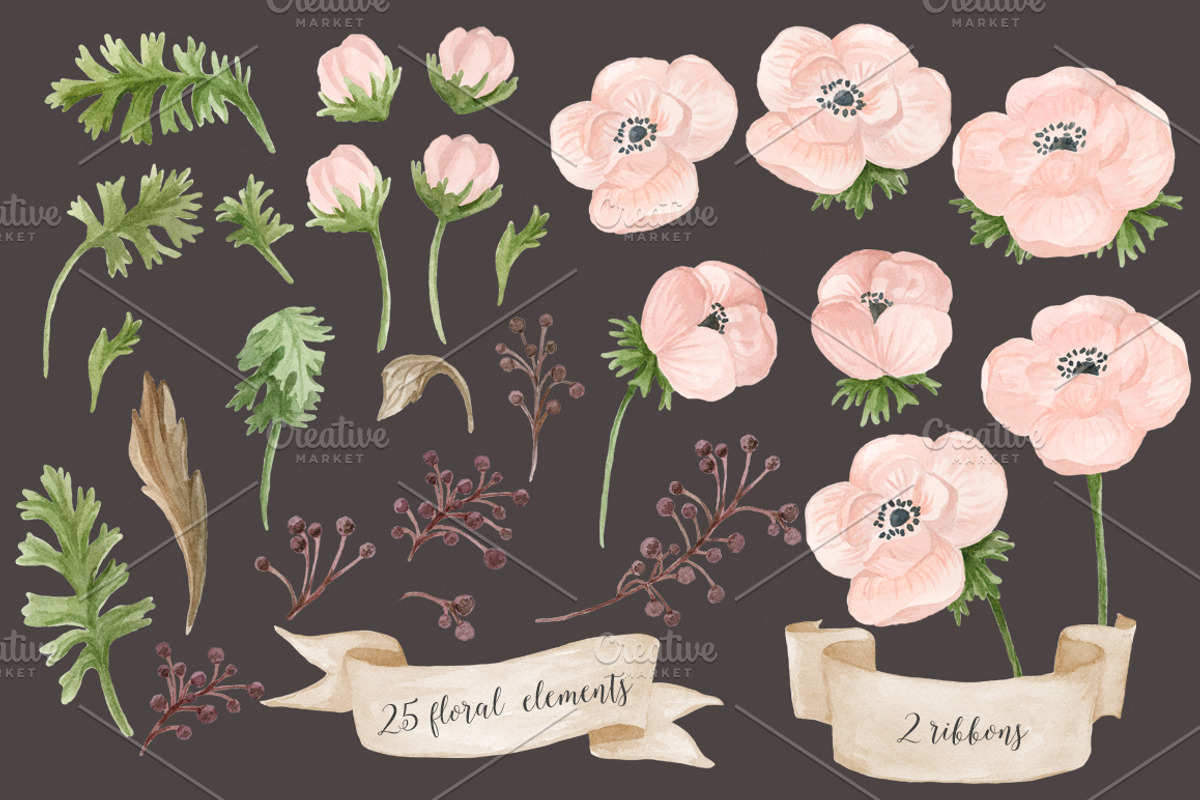 Watercolor anemones. Floral set 2, an Illustration by NataliVA (Photo 2 of 4)