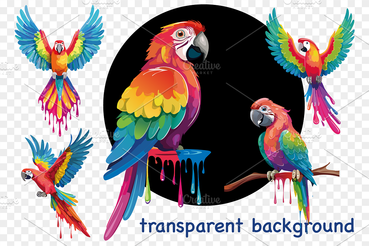 Colorful Tropical Parrots Clipart, an Object Graphic by GraphicRedStudio (Photo 2 of 9)