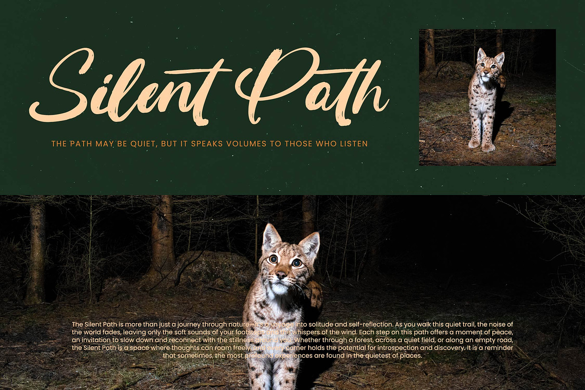 Routine Oldnight Modern Brush Font, a Script Font by Letterena Studios Script (Photo 6 of 20)