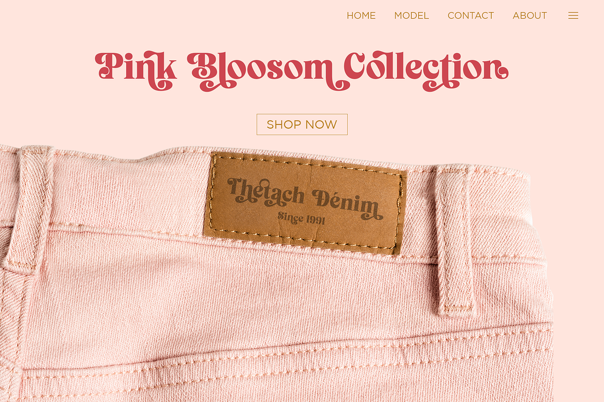 Signature Mango - Modern Retro Font, a Serif Font by Shakira Studio (Photo 8 of 18)