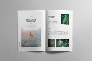 RAINFOREST Brochure / Portfolio