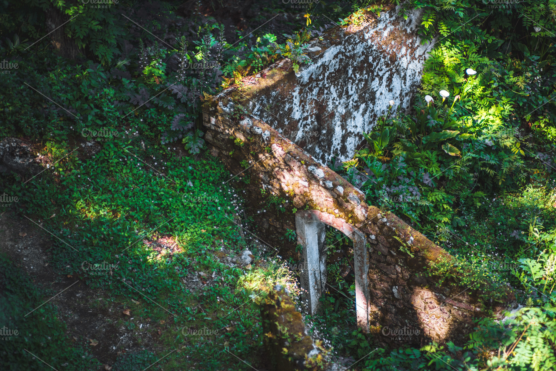 Overgrown stone ruins in Sintra, a Wallpaper Photo by SkyNext