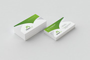 Business Card Template, a Templates & Theme by PicoartBd (Thumbnail 2 of 2)