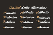 Pintenium Script, a Script Font by FHFont (Thumbnail 9 of 9)