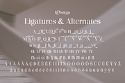 La Gateau - Elegant & Stylish Font, a Serif Font by RagamKata (Thumbnail 11 of 12)