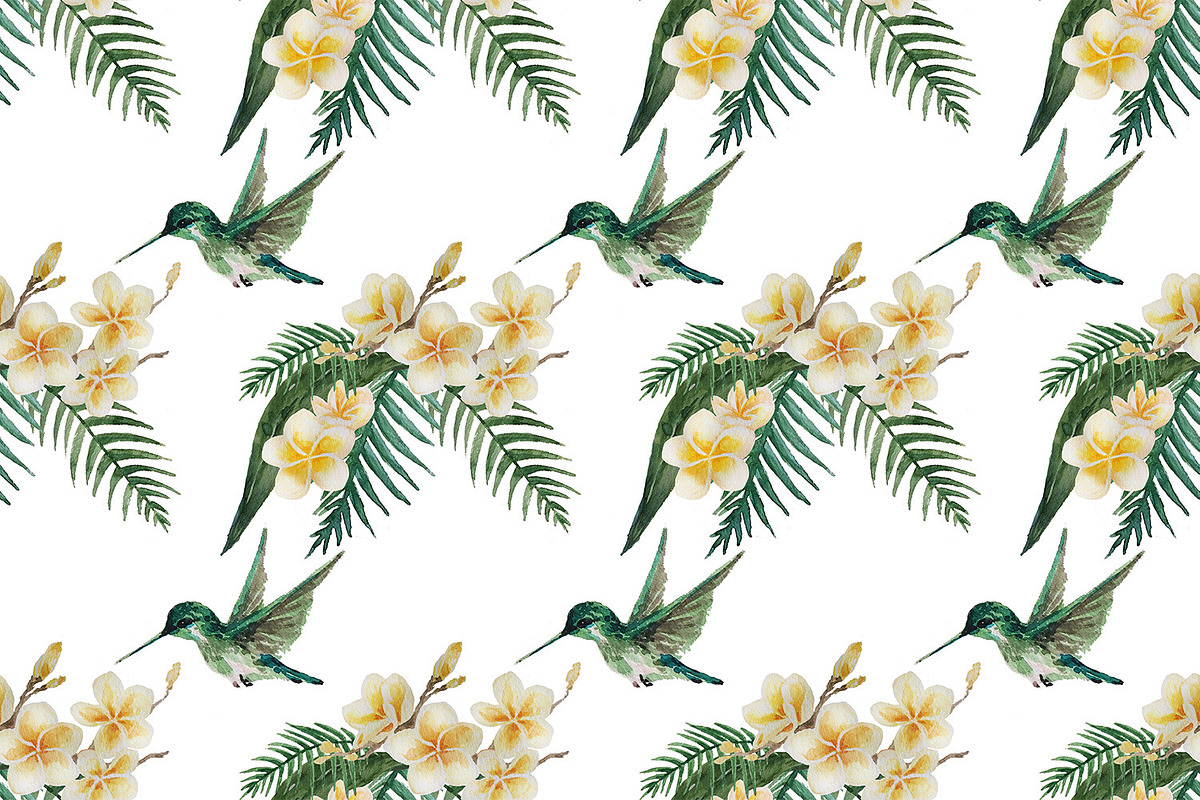 Hummingbird Gardens - Watercolor Set, an Illustration by amyxbao (Photo 2 of 8)