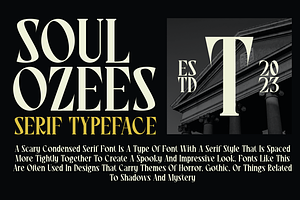 Soul Ozees - A Modern Serif