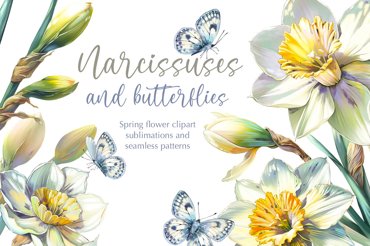 Narcissuses and Butterflies, an Illustration by Shabbypie (Photo 1 of 19)