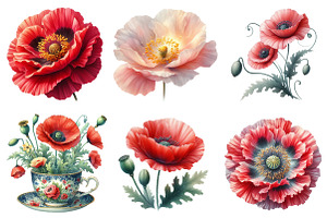 Corn Poppy Flower Bloom Clipart, an Illustration by cherrydesign