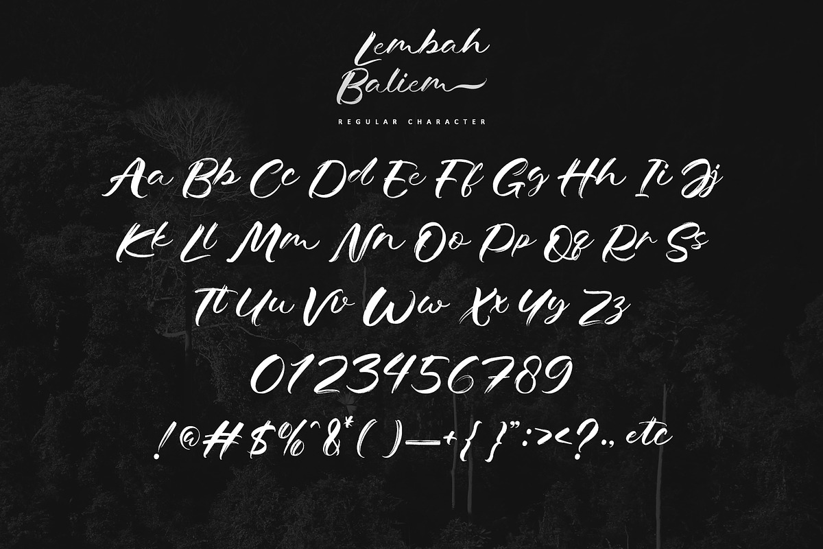 Lembah Baliem, a Handwritten Font by Letterara (Photo 8 of 11)