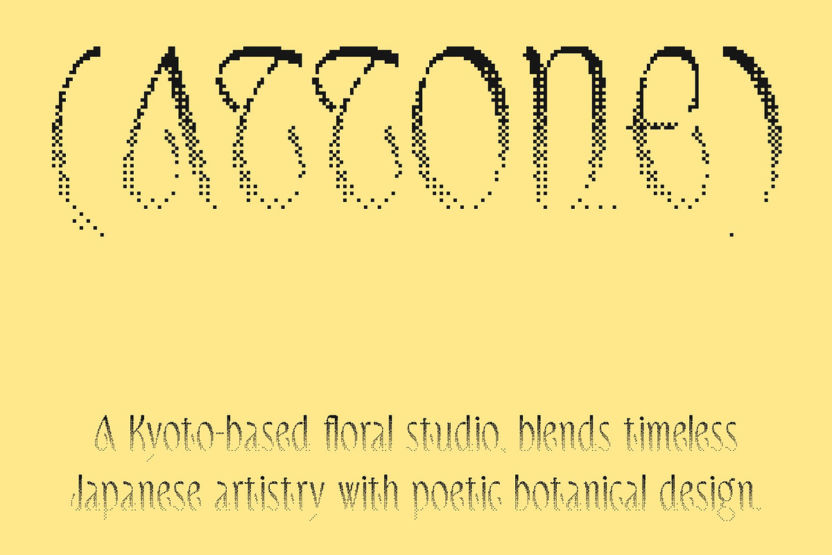 CS Delaney Halfpixel, a Sans Serif Font by Craft Supply Co. (Photo 6 of 8)