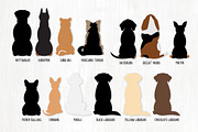 Sitting Dog Breeds - From Behind, an Illustration by VizualStorm (Thumbnail 3 of 3)