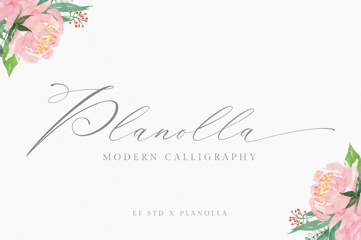 Planolla | Modern Calligraphy