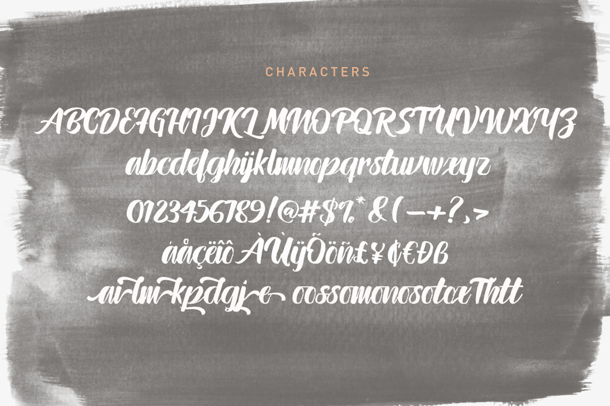 Ink blank brush font, a Script Font by Franstudio (Photo 6 of 7)