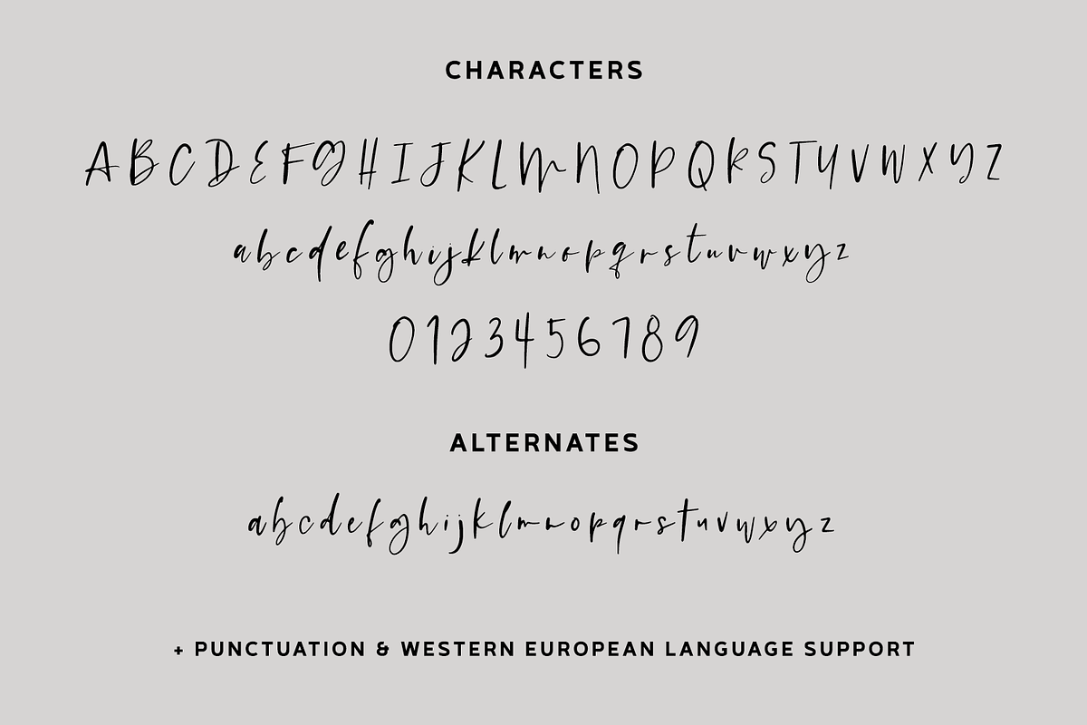 Platespinner Script, a Script Font by Beck McCormick (Photo 10 of 10)