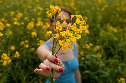 Girl holding a yellow rapeseed flower in the field, a Person Photo by Photostock