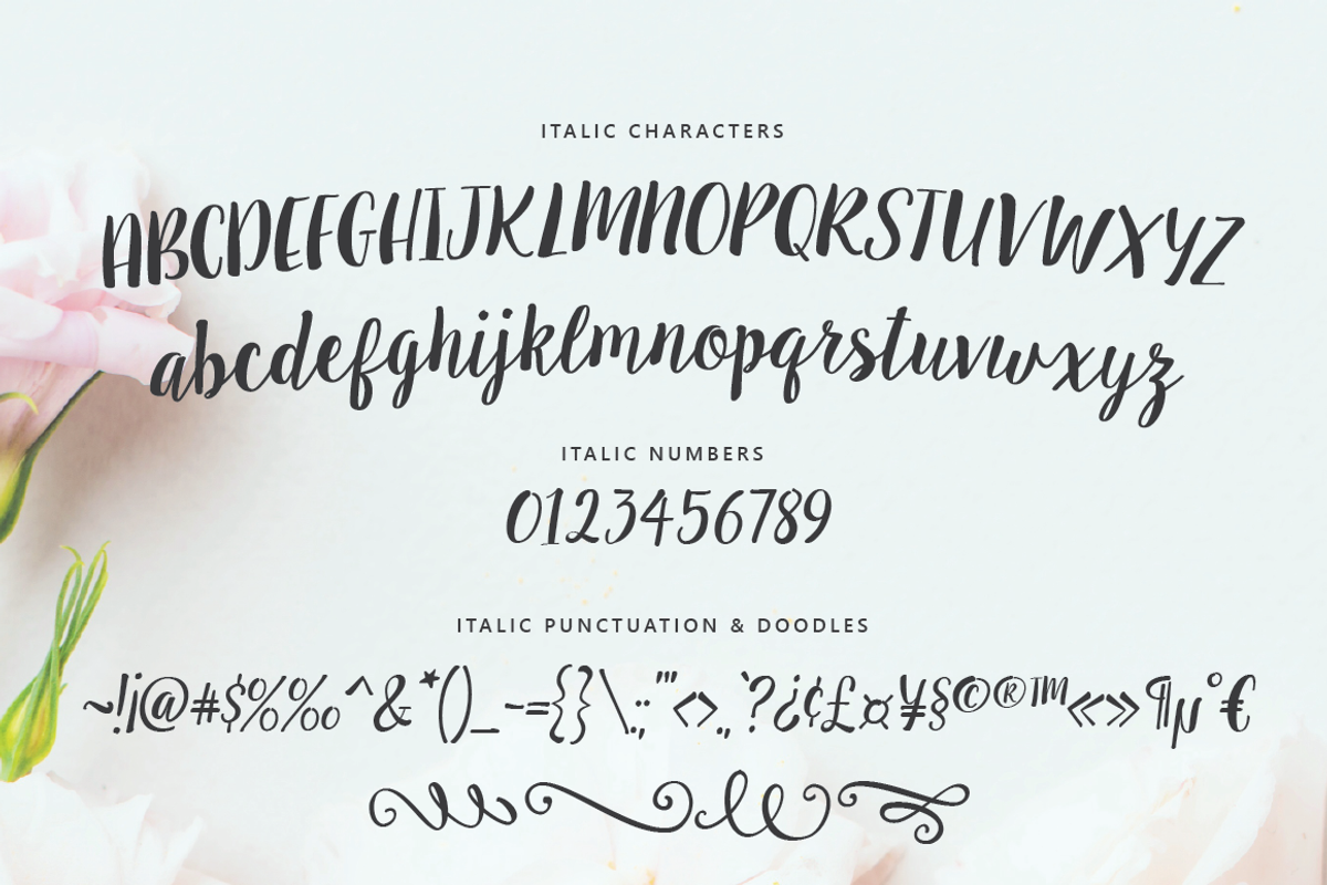 Sugar Plums Script, a Script Font by Emily Spadoni (Photo 4 of 7)