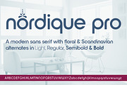 Nordique Pro Semibold, a Sans Serif Font by Leksen Design (Thumbnail 2 of 3)