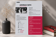 MODERN RESUME TEMPLATE (R11), a Resume Template by dulchaer29 (Thumbnail 4 of 4)