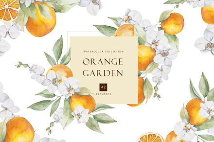 Watercolor citrus orange clipart