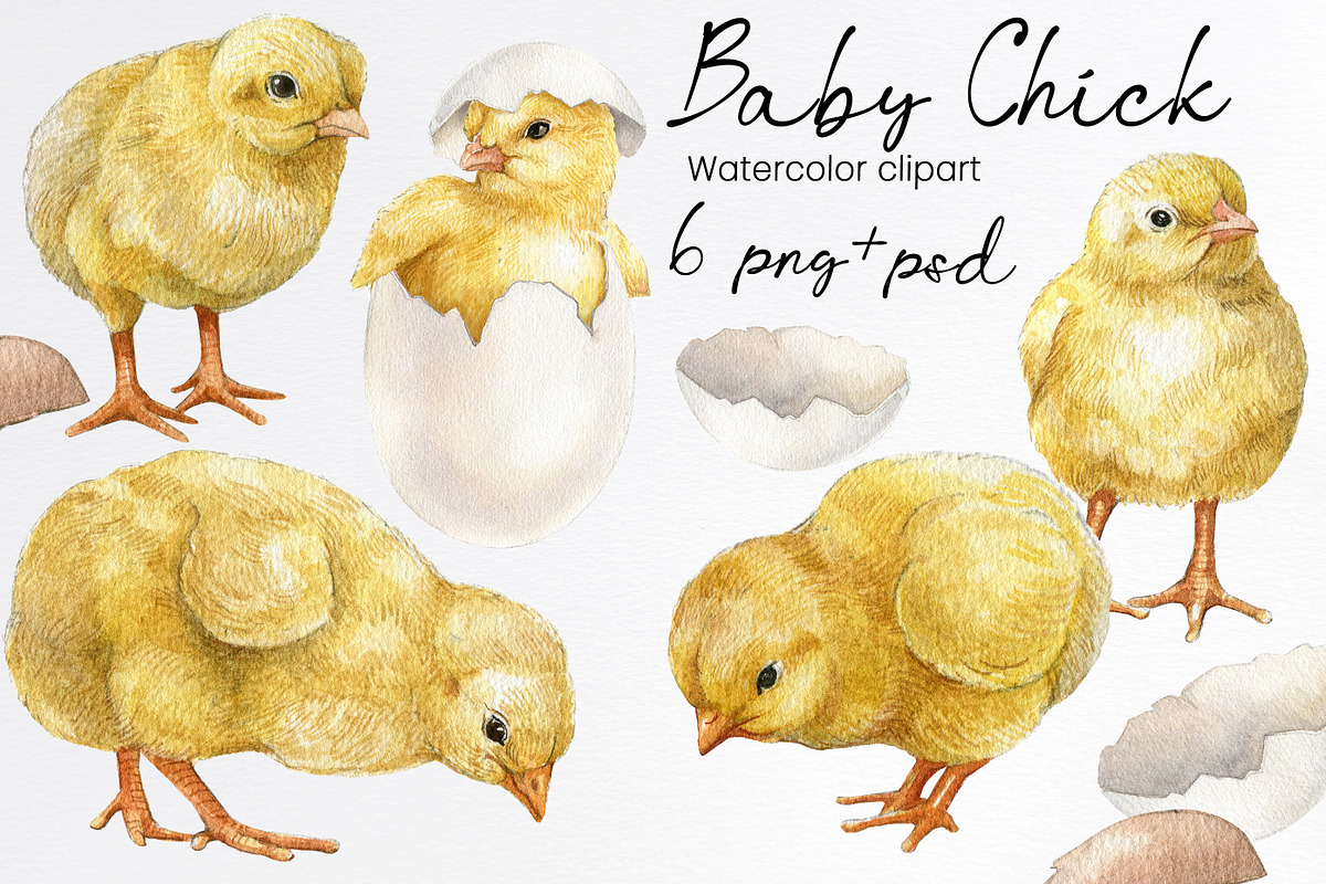 Watercolor easter chicken clipart, an Animal Illustration by yana.fefelova (Photo 1 of 4)