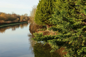 Canal scene reflecting green trees and clear blue sky on a calm morning, offeri, a Photo by Studio ANNA