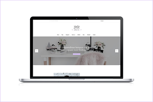 Zayer - Creative WordPress Theme