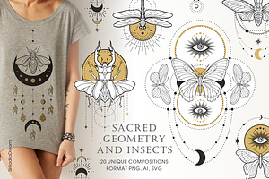 Skakralny geometry and beetles