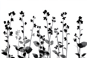 Black and White Floral Silhouettes B, a Beauty & Fashion Photo by Pixeness Studio