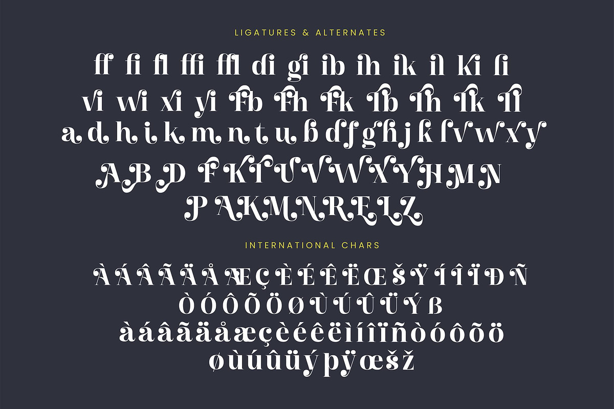 Giglik Merkia Elegant Serif Bold, a Serif Font by Letterena Studios (Photo 14 of 15)