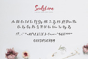 Soulshine Brush Script, a Font by Callie Rian & Co. (Thumbnail 11 of 15)