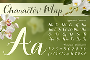 Lisaline, a Script Font by Artisan Themes (Thumbnail 2 of 11)