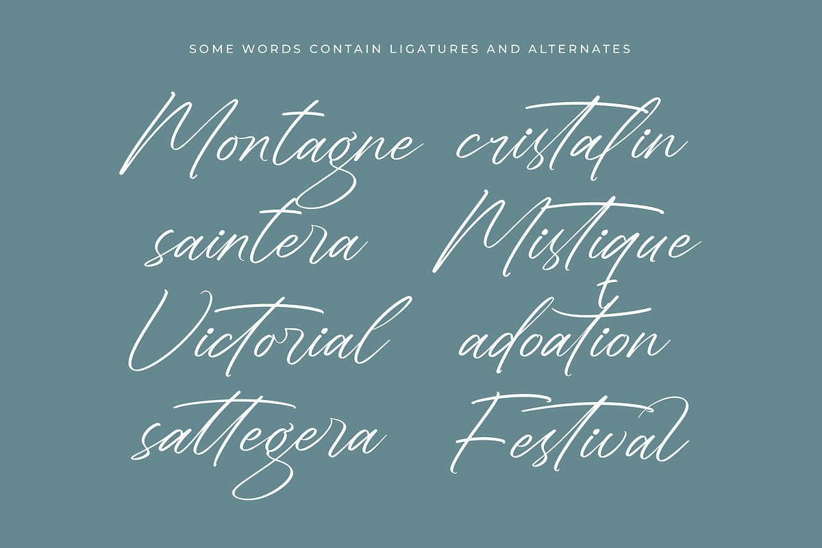 Sheyotu Etrella Stylish Handwritten, a Script Font by stylishtype.co (Photo 15 of 20)