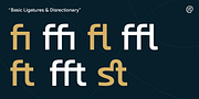 Coppint, a Sans Serif Font by Ridtype Foundry (Thumbnail 7 of 12)