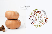 Hello autumn - watercolor collection, a Seasonal Illustration by Youksy (Thumbnail 15 of 17)