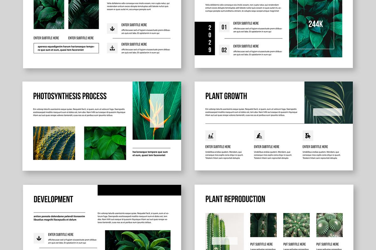 Botanical Presentation, a Presentation Template by MightyDesign (Photo 2 of 7)