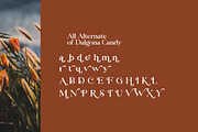 Dalgona Candy Modern/Vintage Font, a Serif Font by Typegoals Studio (Thumbnail 7 of 8)