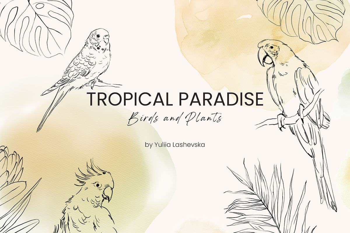 TROPICAL PARADISE birds and plants, a Decorative Illustration by Yuliia Lashevska (Photo 1 of 14)