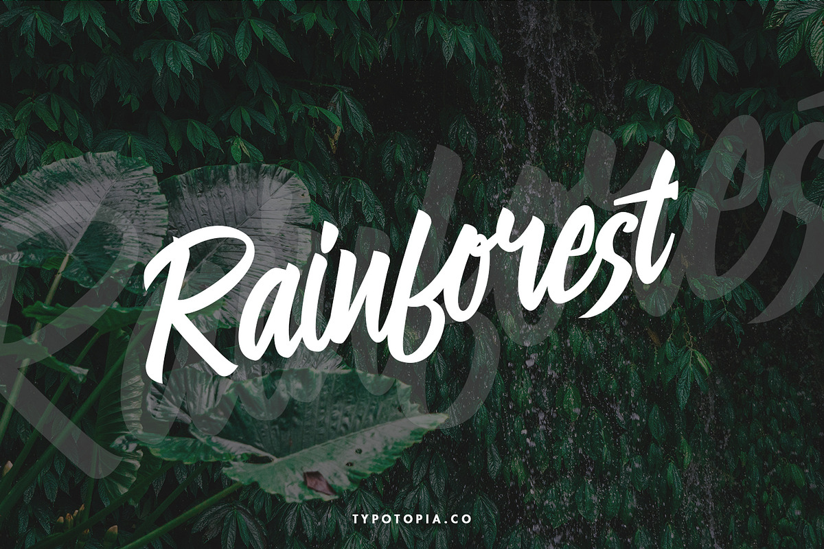Linimasa - Modern Script Font, a Script Font by edukka (Photo 10 of 11)