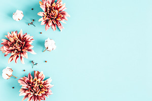 Autumn flowers featuring flower, autumn, and fall