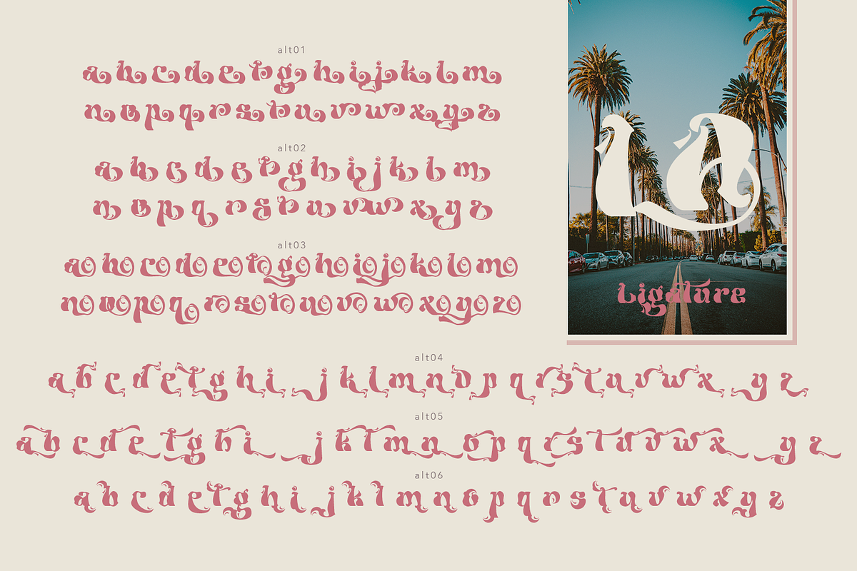 Aslangie - Vintage Font, a Symbol Font by TypeClassHeroes (Photo 10 of 10)
