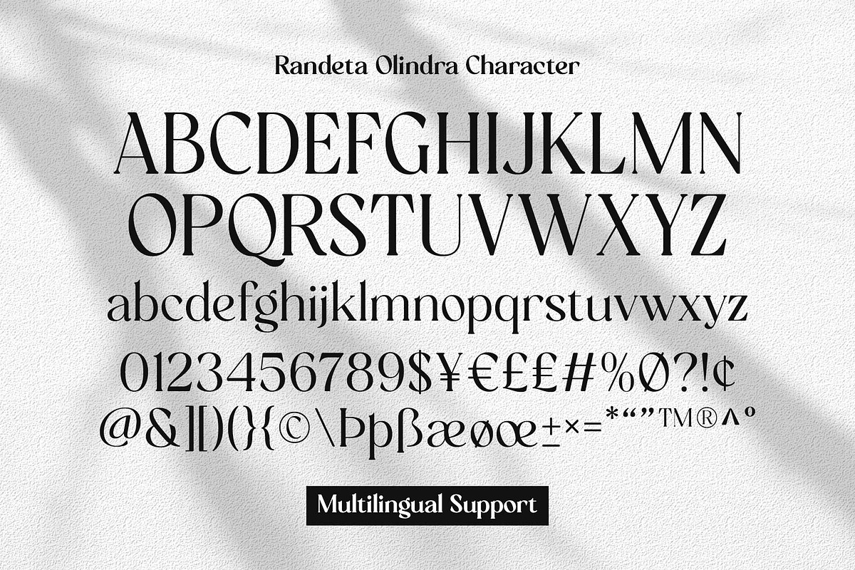 Randeta Olindra - Serif Family, a Serif Font by Novitype (Photo 13 of 13)