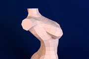 DIY Female torso 3D model template, a Presentation Template by PolyFish (Thumbnail 3 of 6)